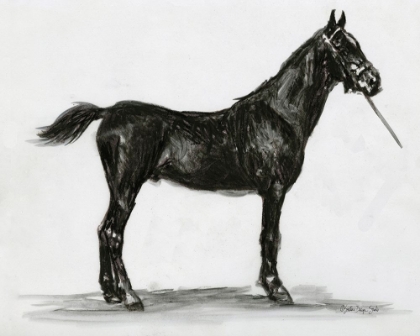 Picture of HORSE STUDY 3