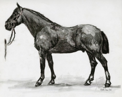 Picture of HORSE STUDY 4