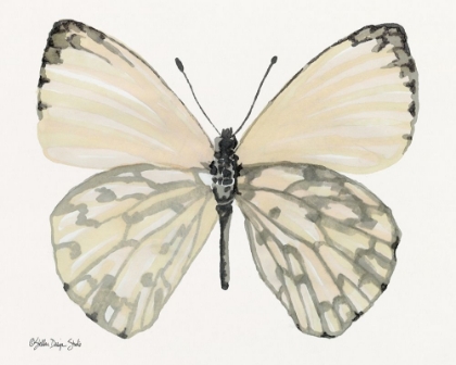 Picture of BUTTERFLY 2