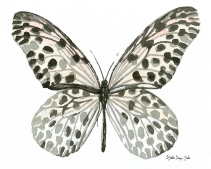 Picture of BUTTERFLY 3
