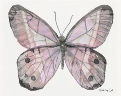 Picture of BUTTERFLY 5