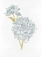 Picture of COUNTRYSIDE BLOOM 2  