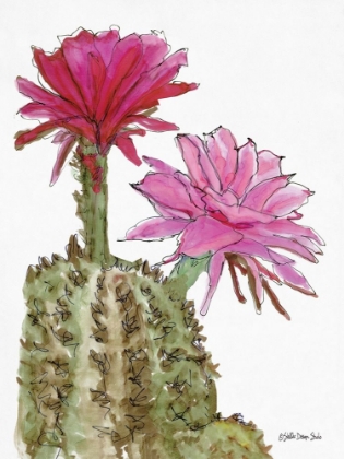 Picture of CACTUS FLOWER 2   