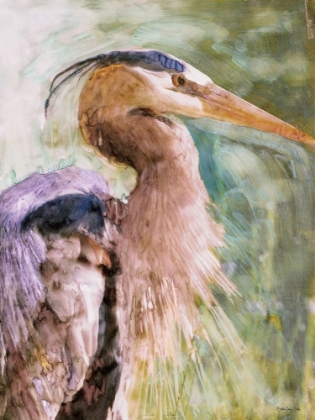 Picture of BLUE HERON