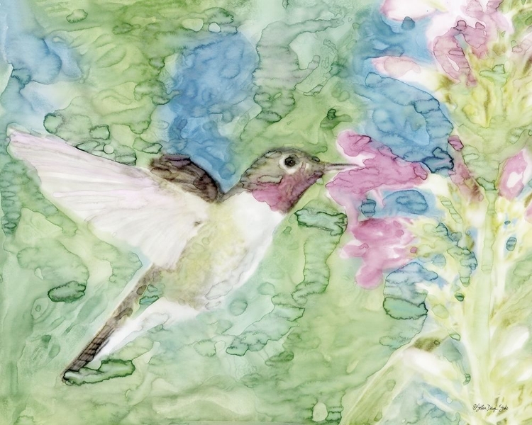 Picture of HUMMINGBIRD 1