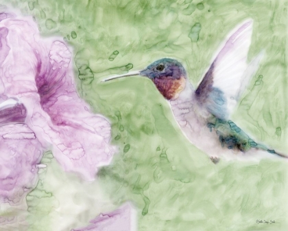 Picture of HUMMINGBIRD 2