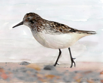 Picture of SANDPIPER 2