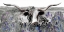 Picture of LONGHORN IN FLOWER FIELD  