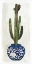 Picture of CACTI IN BLUE POT 2   