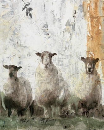 Picture of THREE SHEEP