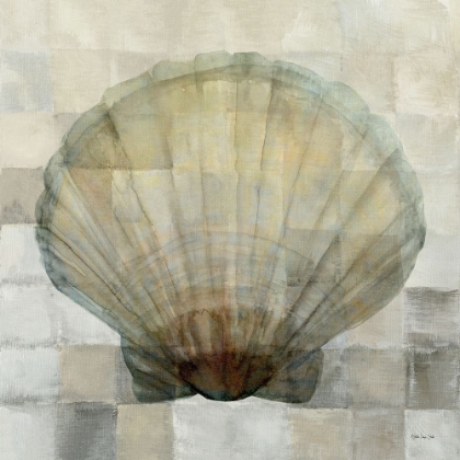 Picture of SCALLOP SHELL