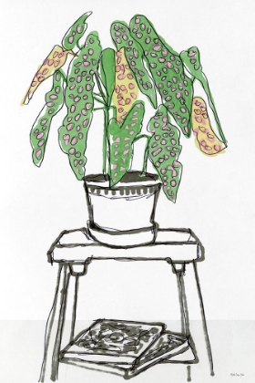 Picture of HOUSE PLANT STUDY I