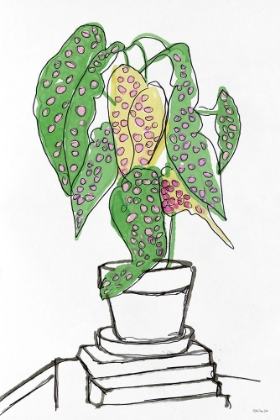 Picture of HOUSE PLANT STUDY II