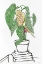 Picture of HOUSE PLANT STUDY II