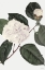 Picture of WHITE BOTANICAL I