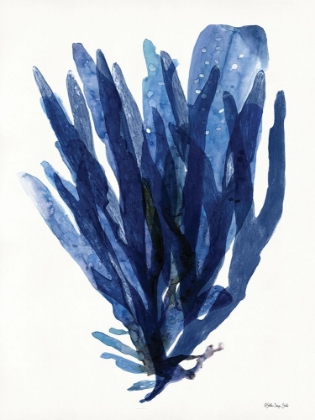 Picture of TRANSPARENT INDIGO SEA GRASS II