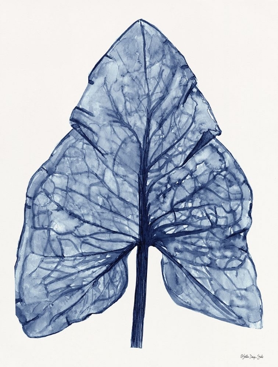 Picture of INDIGO LEAF