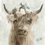 Picture of COW AND CROWN II