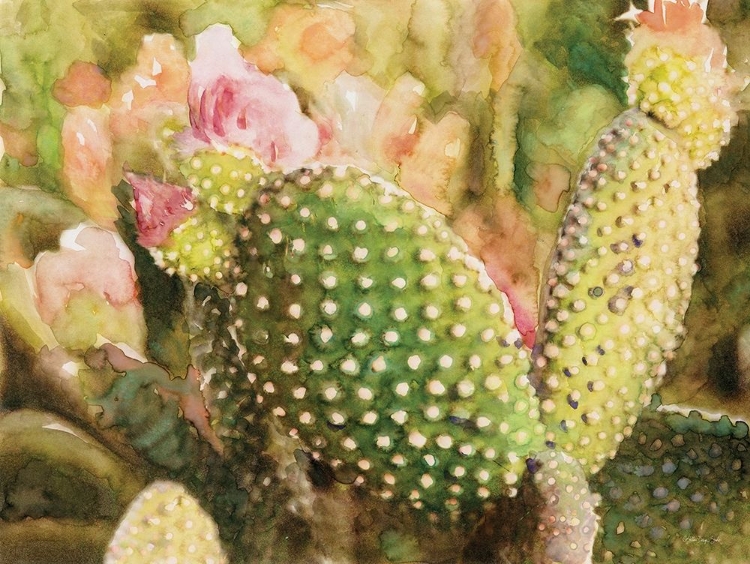 Picture of CACTUS FLOWERS