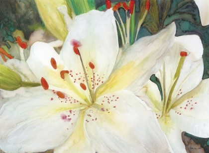 Picture of MACRO LILIES
