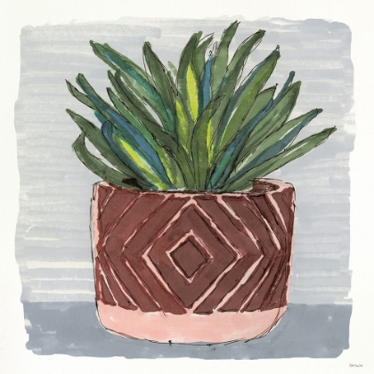 Picture of POTTED AGAVE II
