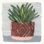 Picture of POTTED AGAVE II