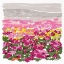 Picture of FIELD OF FLOWERS
