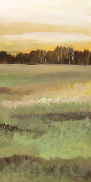 Picture of LAND 5