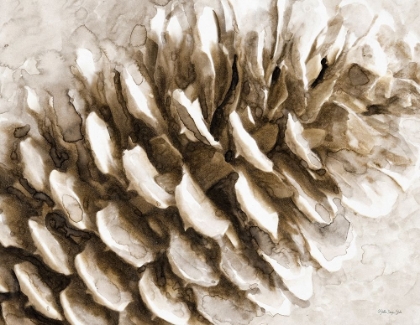 Picture of SNOWY PINECONE