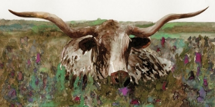 Picture of TEXAS LONGHORN IN FIELD