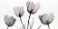 Picture of  FLORAL SIMPLICITY