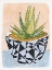 Picture of GEO VASE WITH SUCCULENT