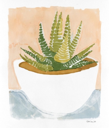 Picture of CACTI BOWL     