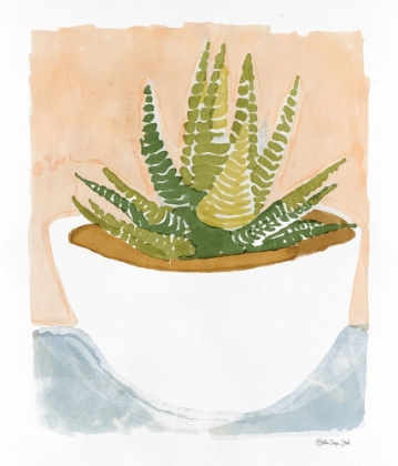 Picture of CACTI BOWL     