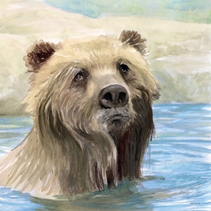 Picture of BEAR BATH