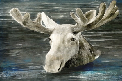 Picture of LAKE MOOSE