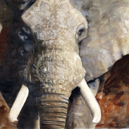 Picture of MANDALA ELEPHANT