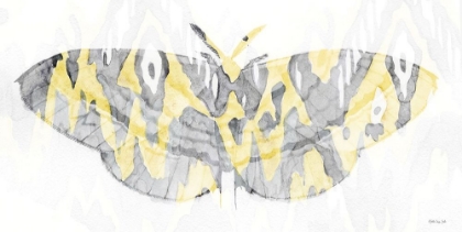 Picture of YELLOW-GRAY PATTERNED MOTH 1