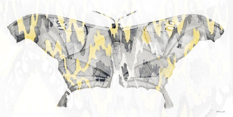 Picture of YELLOW-GRAY PATTERNED MOTH 2