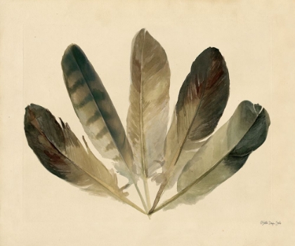 Picture of FIVE FEATHERS