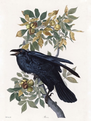 Picture of VINTAGE CROW 2
