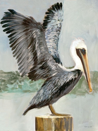 Picture of BROWN PELICAN 2