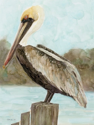 Picture of BROWN PELICAN 3