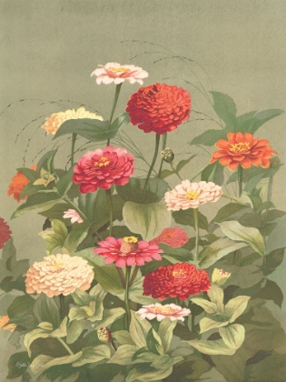 Picture of ANTIQUE BOTANICAL COLLECTION 1