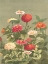 Picture of ANTIQUE BOTANICAL COLLECTION 1