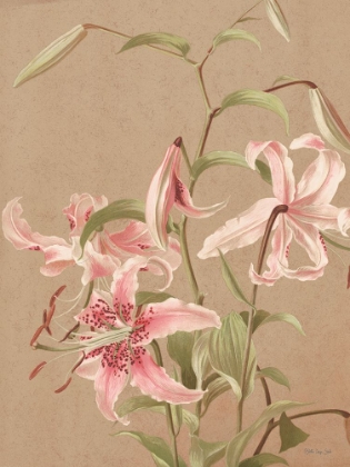 Picture of ANTIQUE BOTANICAL COLLECTION 3