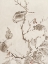 Picture of SUMI INK STUDY 1