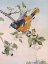 Picture of SPRING SONG BIRD