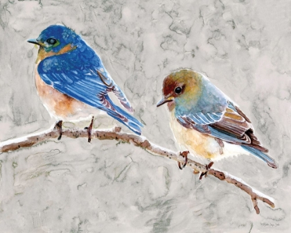Picture of EASTERN BLUEBIRDS 1