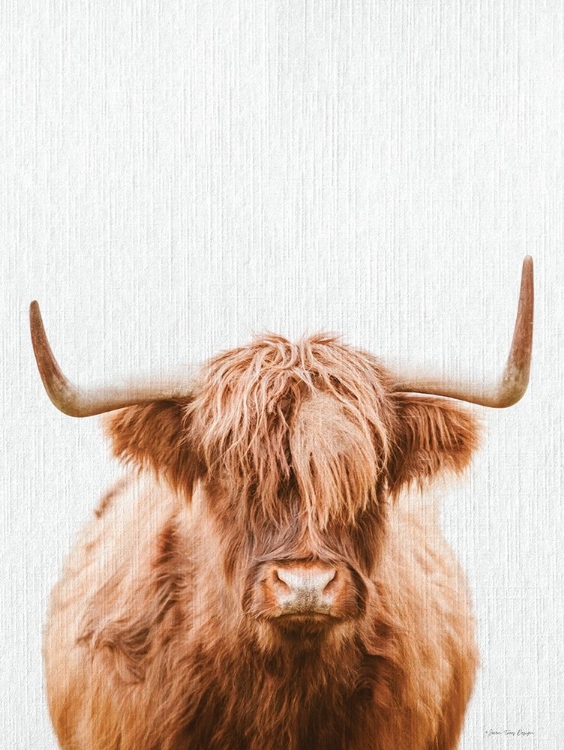 Picture of COW PORTRAIT